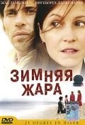 Зимняя жара (2004)