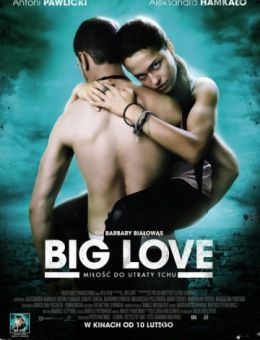 Большая любовь (2012)