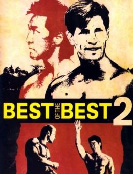Лучшие из лучших 2 (1993)