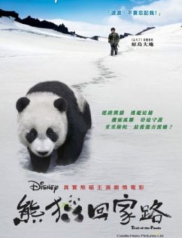След панды (2009)