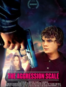 Шкала агрессии (2011)