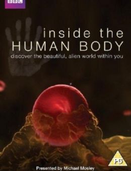 Внутри человеческого тела 1 сезон