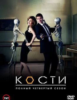  Кости