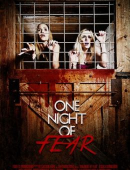 Одна ночь страха (2016)