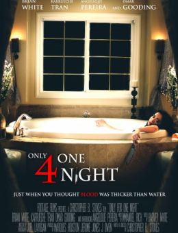 Только на одну ночь (2016)
