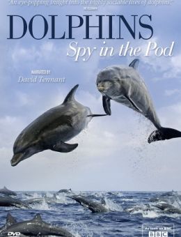 BBC: Дельфины скрытой камерой 1,2 серия 2018