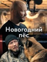Новогодний пес (сериал 2018, НТВ) 1-2 серия
