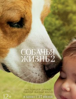 Собачья жизнь 2 фильм 2019