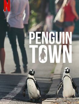  Город пингвинов