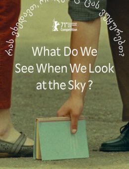 Что мы видим, когда смотрим на небо? (2021)
