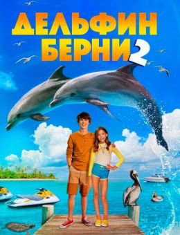 Дельфин Берни 2 (2019)