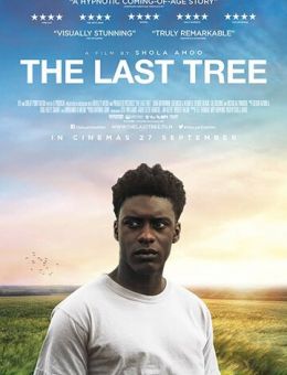Последнее дерево (2019)