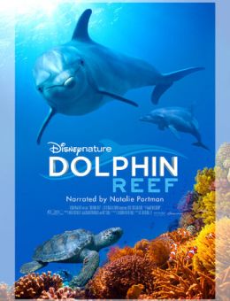 Дельфиний риф (2018)