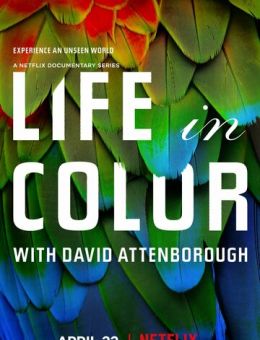  Жизнь в цвете с Дэвидом Аттенборо