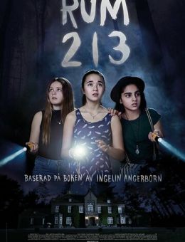 Комната 213 (2017)