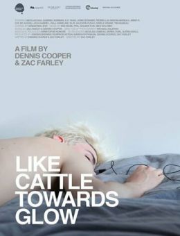 Like Cattle Towards Glow (2015)