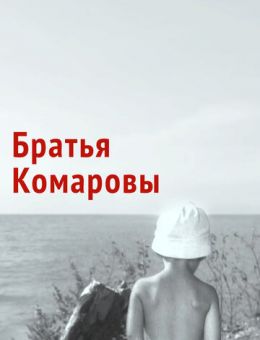 Братья Комаровы (1961)