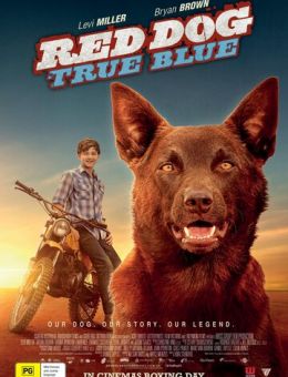 Рыжий пес: Самый верный (2016)