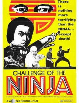 Шаолинь вызывает ниндзя (1978)