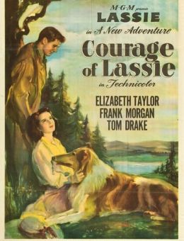 Храбрость Лэсси (1946)