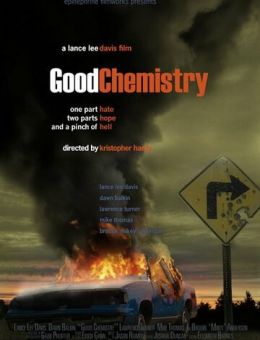 Хорошая химия (2008)
