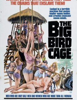 Большая клетка для птиц (1972)