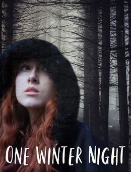 One Winter Night (2019)