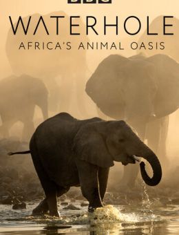  BBC. Водопой: Африканский Оазис для Животных