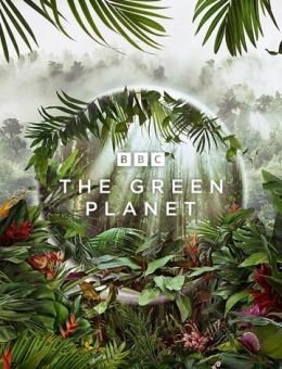 Зелёная планета (2022)