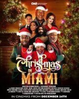 Рождество в Майами (2021)