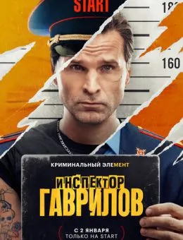  Инспектор Гаврилов