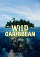  Дикая природа Карибских островов