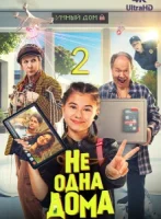 Не одна дома 2 (2025)