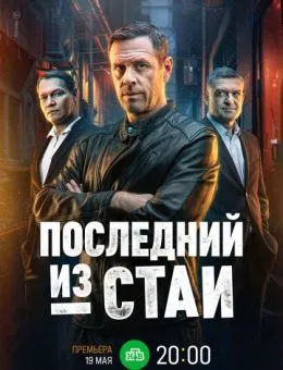 Последний из стаи